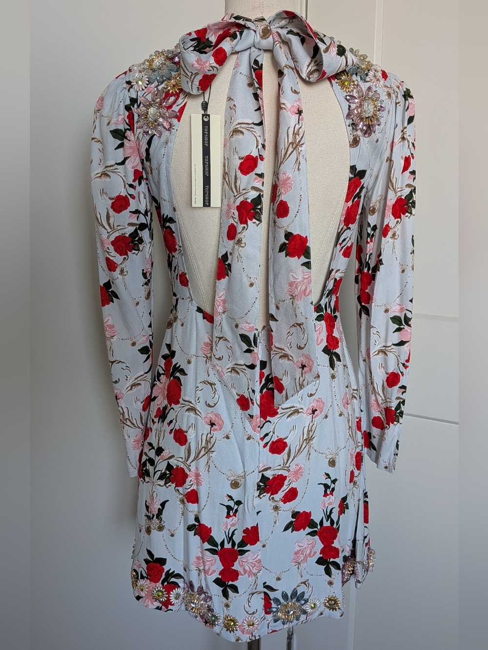 NWT TopShop Light Blue Red Pink Rose Skater Beaded Jewel Floral Dress 4 - Picture 7 of 14